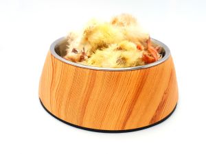 Eintagesküken (tiefgekühlt)-1000g-Kiezebrink