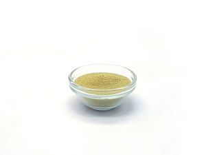Perna Adult (trocken)-100g-PerNaturam